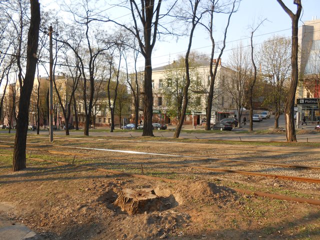Файл:D-yav 34 14.jpg