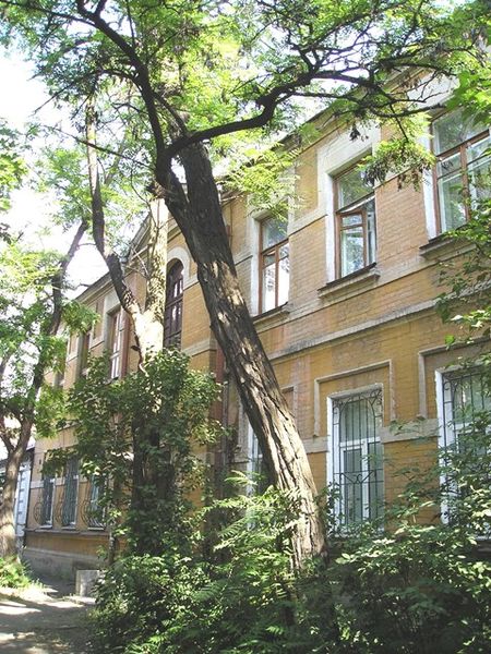 Файл:Savchenko 24 01.jpg