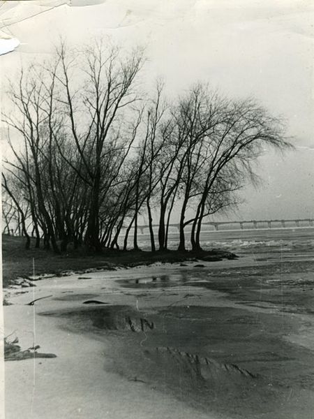 Файл:Monast-ostrov 09.jpg